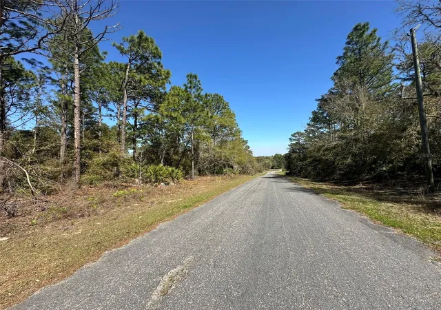 Photo 3 of Land for sale at 833 W Champlain Ln, Citrus Springs, FL 34434 | MLS# OM719810 | Listing updated on 2026-02-28