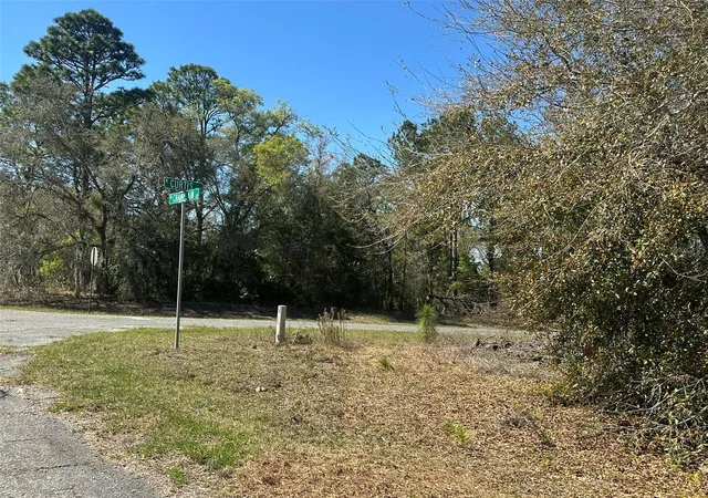 Photo 4 of Land for sale at 833 W Champlain Ln, Citrus Springs, FL 34434 | MLS# OM719810 | Listing updated on 2026-02-28