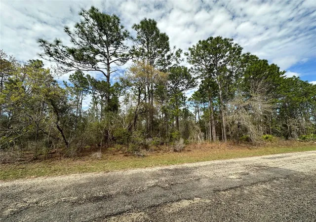 Photo 1 of Land for sale at 1639 W Pendleton St, Dunnellon, FL 34434 | MLS# OM719812 | Listing updated on 2026-02-28