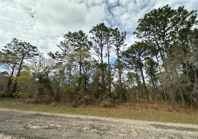 Photo 2 of Land for sale at 1639 W Pendleton St, Dunnellon, FL 34434 | MLS# OM719812 | Listing updated on 2026-02-28