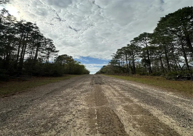 Photo 3 of Land for sale at 1639 W Pendleton St, Dunnellon, FL 34434 | MLS# OM719812 | Listing updated on 2026-02-28