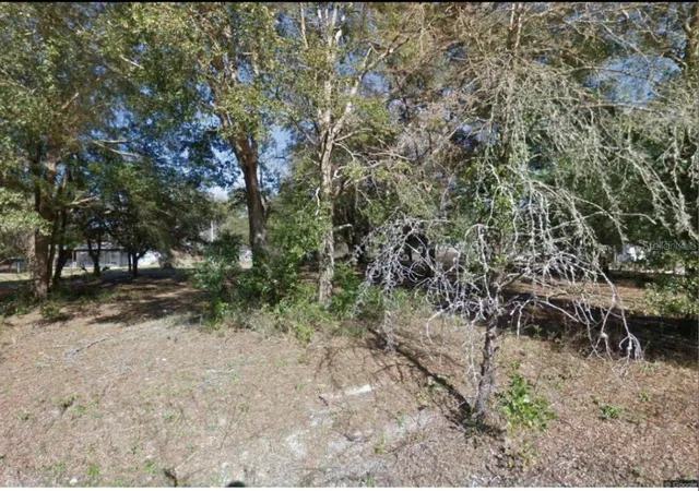 Homes for sale in Fanning Springs, FL | 17449 Nw 89th Ter, Fanning Springs, FL 32693 | MLS# S5144817