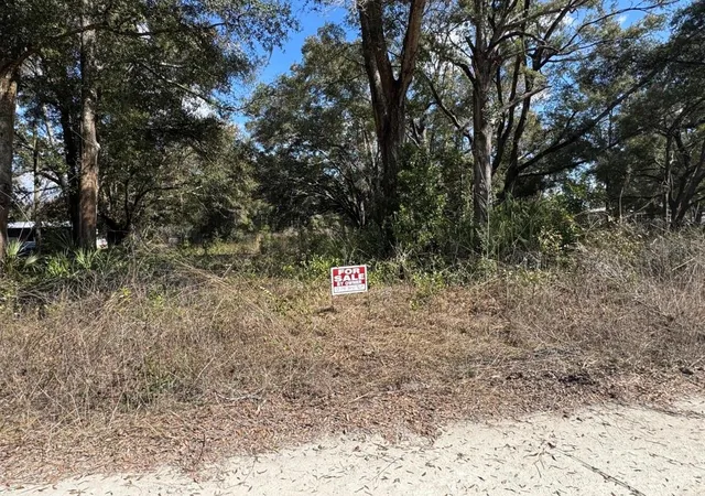Homes for sale in Fanning Springs, FL | 17449 Nw 89th Ter, Fanning Springs, FL 32693 | MLS# S5144817