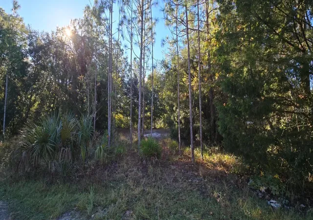 Photo 3 of Land for sale at 7784 W Twin Cnl Ln, Homosassa, FL 34448 | MLS# TB8481494 | Listing updated on 2026-08-27