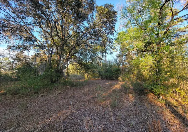 Photo 1 of Land for sale at 0 Ne 20th Street, Williston, FL 32696 | MLS# OM719852 | Listing updated on 2026-08-23