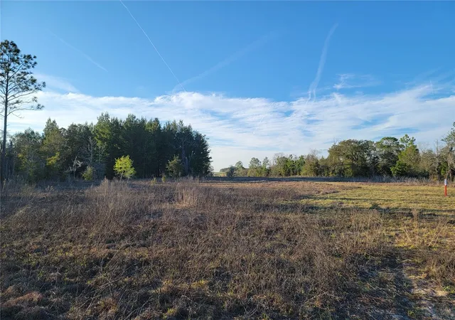 Photo 2 of Land for sale at 0 Ne 20th Street, Williston, FL 32696 | MLS# OM719852 | Listing updated on 2026-08-23