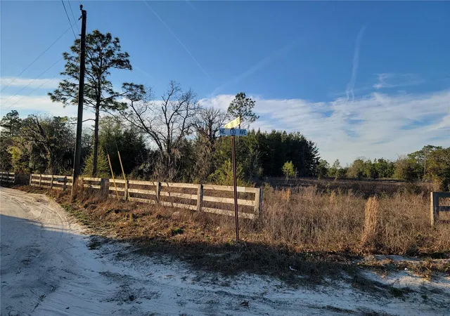 Photo 4 of Land for sale at 0 NE 20th Street, Williston, FL 32696 | MLS# OM719852 | Listing updated on 2026-08-23