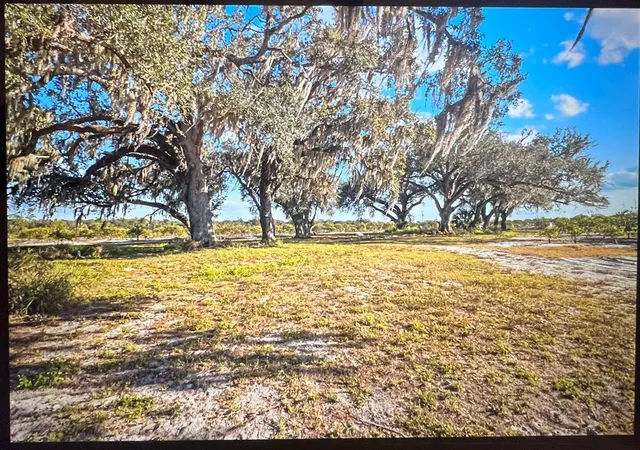 17th image of 8423 Nw Pine Level St, Arcadia, FL 34266 | MLS# A4684454