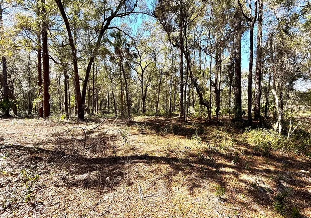 5th image of Lincoln Rd, Deland, FL 32724 | MLS# O6386749