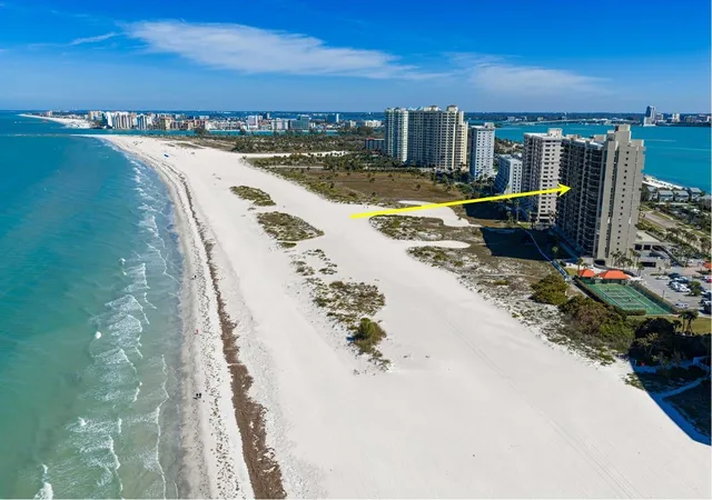 Homes for sale in Clearwater, FL | 1290 Gulf Blvd #1002, Clearwater, FL 33767 | MLS# TB8481810