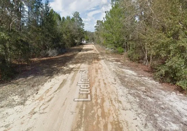 Photo 2 of Land for sale at Ludlow St, Interlachen, FL 32148 | MLS# O6386831 | Listing updated on 2026-10-07