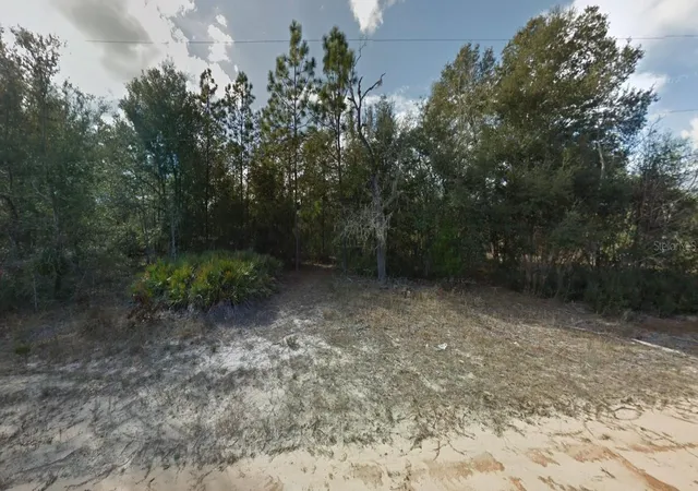 Photo 1 of Land for sale at Ludlow St, Interlachen, FL 32148 | MLS# O6386831 | Listing updated on 2026-10-07