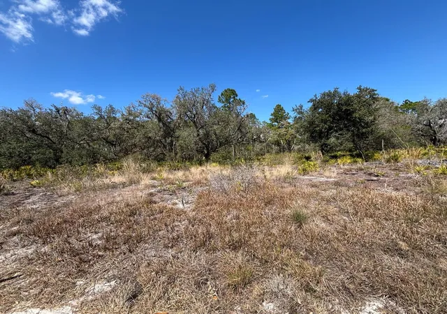 Photo 1 of Land for sale at 1006 Palm Ave, Frostproof, FL | MLS# S5144906 | Listing updated on 2026-03-03