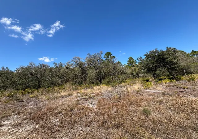 Photo 2 of Land for sale at 1006 Palm Ave, Frostproof, FL | MLS# S5144906 | Listing updated on 2026-03-03