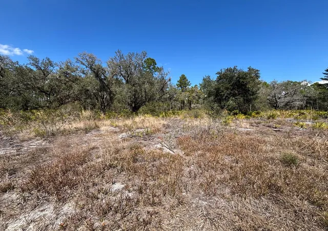 Photo 3 of Land for sale at 1006 Palm Ave, Frostproof, FL | MLS# S5144906 | Listing updated on 2026-03-03