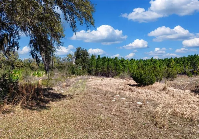 Homes for sale in Chiefland, FL | 000 Nw 60Th Ave, Chiefland, FL 32626 | MLS# GC538071