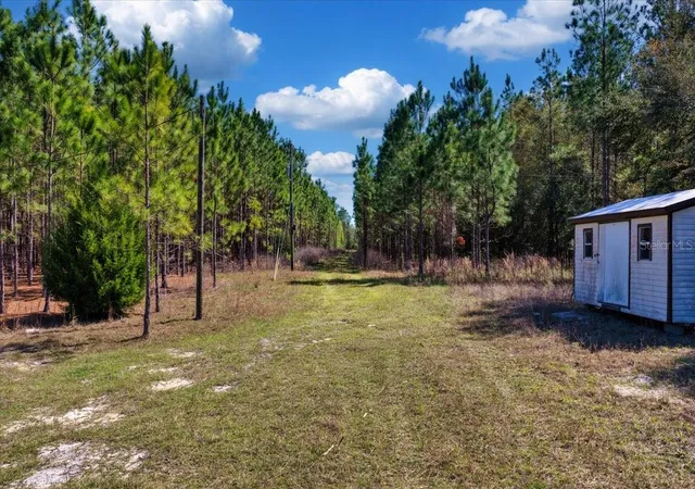 Homes for sale in Chiefland, FL | 000 Nw 60Th Ave, Chiefland, FL 32626 | MLS# GC538071