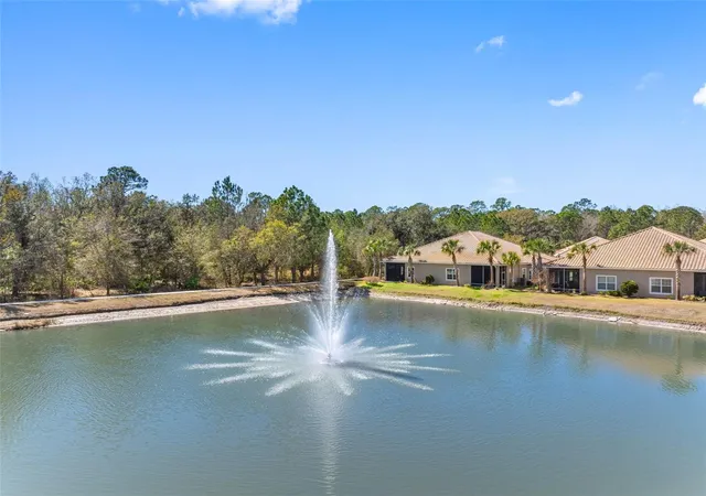 61st image of 29800 Anand Vihar Dr, Wesley Chapel, FL 33543 | MLS# TB8482025