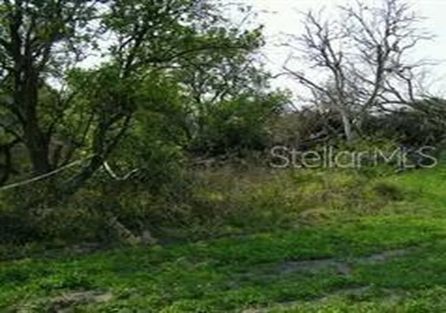 Photo 2 of Land for sale at 5224 Clarence Gordon Junior Rd, Plant City, FL 33567 | MLS# TB8482178 | Listing updated on 2026-05-20