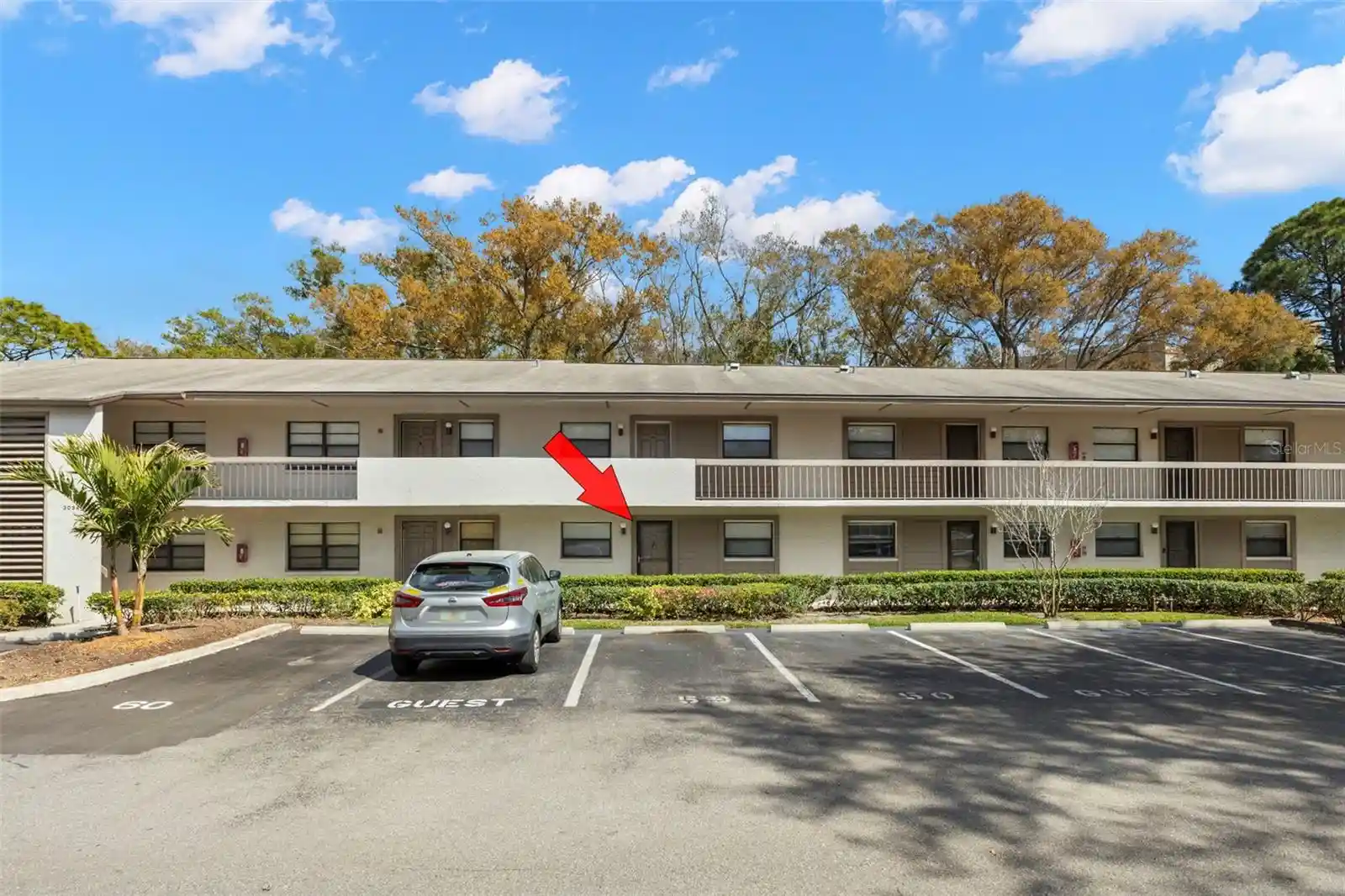 Listing Photo 40 - Condo for sale in 3034 Eastland Blvd located at 3034 Eastland Blvd, Clearwater, FL 33761 - Unit #D104