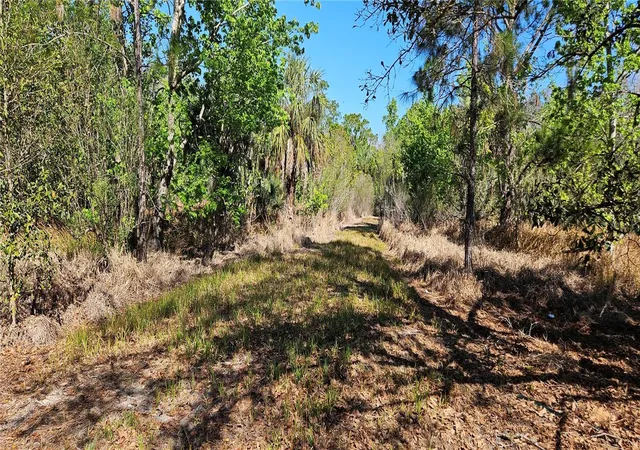 3rd image of 6336 Timberlane Rd, Lake Wales, FL 33898 | MLS# L4959888