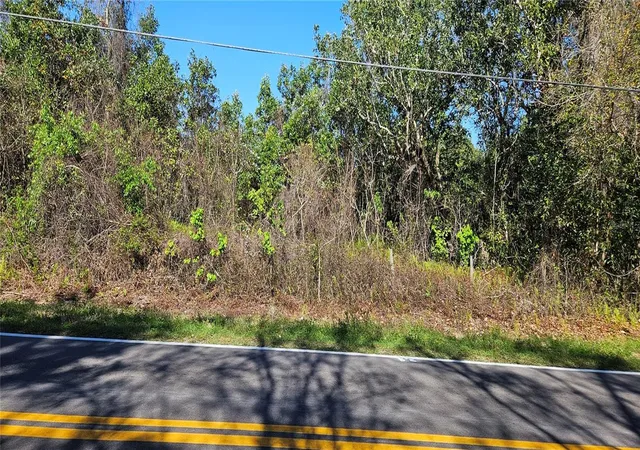 4th image of 6336 Timberlane Rd, Lake Wales, FL 33898 | MLS# L4959888