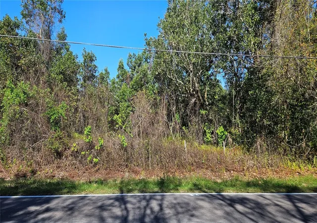 5th image of 6336 Timberlane Rd, Lake Wales, FL 33898 | MLS# L4959888