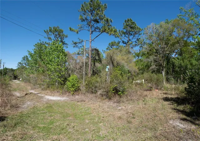 Photo 1 of Land for sale at 12934 Tanner Rd, New Port Richey, FL 34654 | MLS# TB8482509 | Listing updated on 2026-10-14