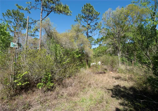 Photo 3 of Land for sale at 12934 Tanner Rd, New Port Richey, FL 34654 | MLS# TB8482509 | Listing updated on 2026-10-14