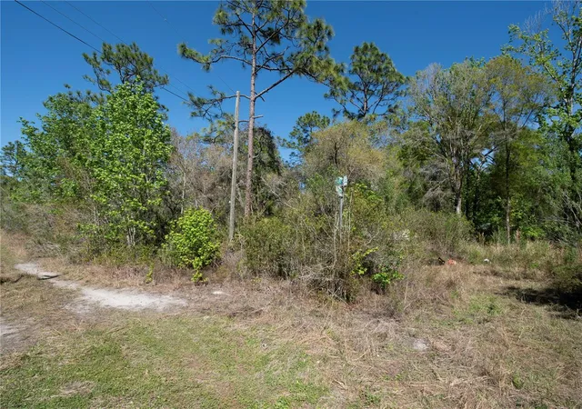Photo 3 of Land for sale at 12934 Tanner Rd, New Port Richey, FL 34654 | MLS# TB8482509 | Listing updated on 2026-10-14