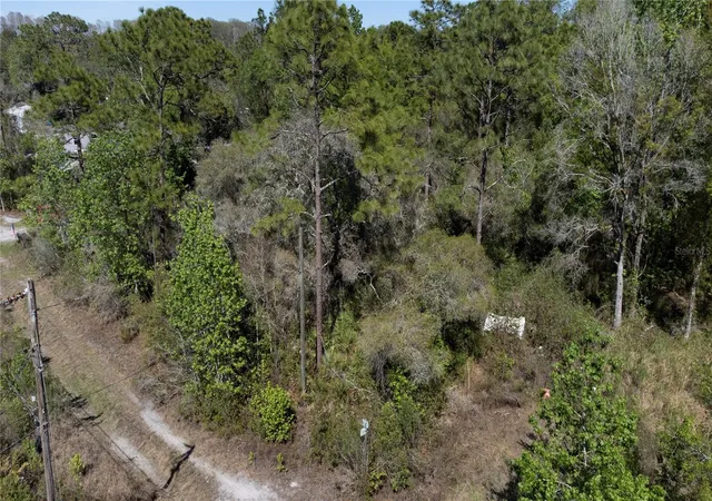 Photo 4 of Land for sale at 12934 Tanner Rd, New Port Richey, FL 34654 | MLS# TB8482509 | Listing updated on 2026-10-14