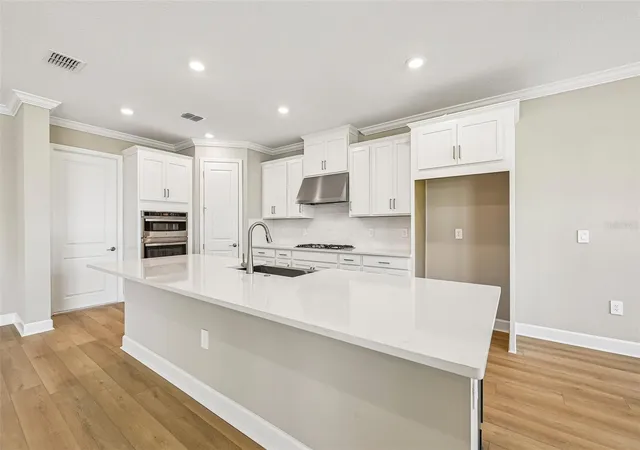 Photo 2 of Single family home for sale at 14223 Sawmill St, Parrish, FL 34219 | MLS# TB8482537 | Listing updated on 2026-09-14