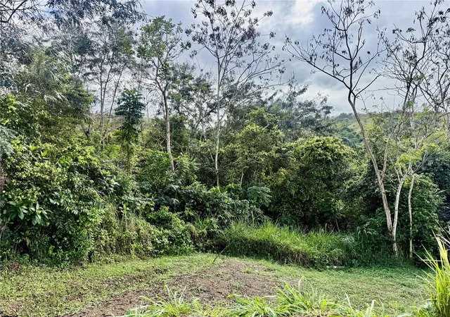 Homes for sale in Cayey, PR | Bo Rincón Lomas, Cayey, PR 00736 | MLS# PR9119665