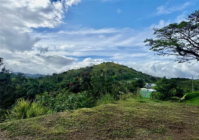 Homes for sale in Cayey, PR | Bo Rincón Lomas, Cayey, PR 00736 | MLS# PR9119665