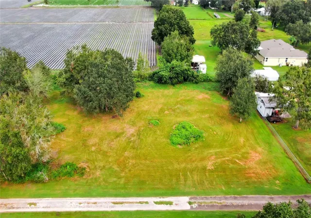 4th image of 13906 Sweet Blossom Ct, Dover, FL 33527 | MLS# TB8482969