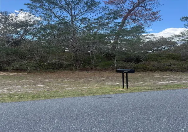 Photo 3 of Land for sale at Tbd Sw 40th Circle, Ocala, FL 34473 | MLS# OM720103 | Listing updated on 2026-03-06