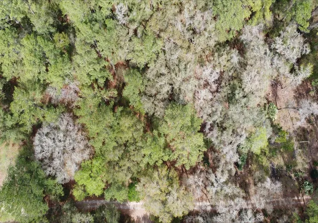 5th image of 00 Sw 9Th Pl, Ocala, FL 34481 | MLS# OM720108