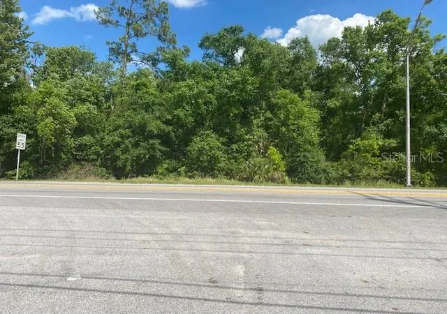 2nd image of Hwy 17 92 N, Davenport, FL 33837 | MLS# O6387873
