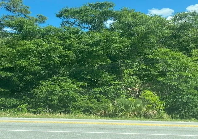 4th image of Hwy 17 92 N, Davenport, FL 33837 | MLS# O6387873