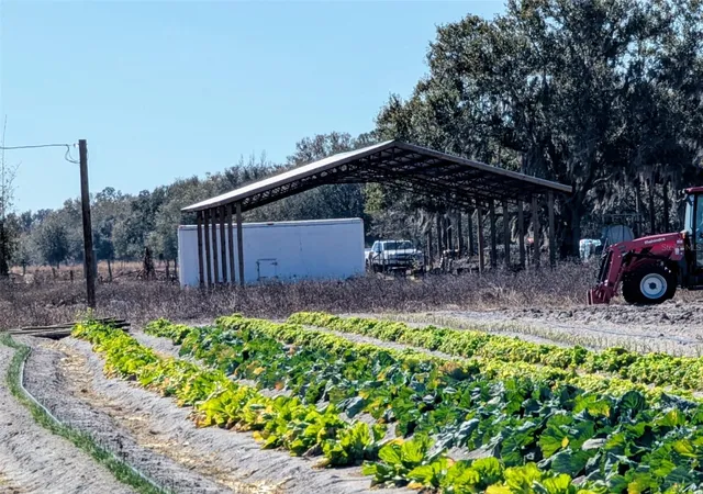 Photo 3 of Land for sale at 46683 Peeples Ln, Wauchula, FL 33873 | MLS# TB8483192 | Listing updated on 2026-09-21