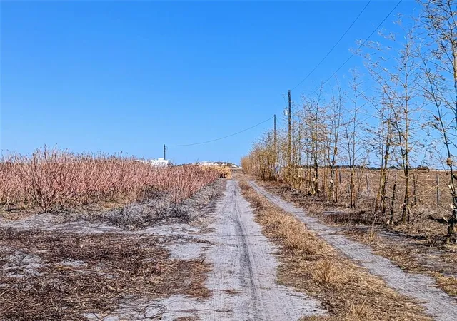 Photo 3 of Land for sale at 46683 Peeples Ln, Wauchula, FL 33873 | MLS# TB8483192 | Listing updated on 2026-09-21