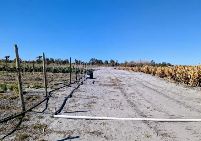 Photo 4 of Land for sale at 46683 Peeples Ln, Wauchula, FL 33873 | MLS# TB8483192 | Listing updated on 2026-09-21
