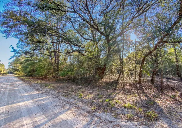 Homes for sale in Fort White, FL | Sw Buffalo Ct, Fort White, FL 32038 | MLS# GC538184