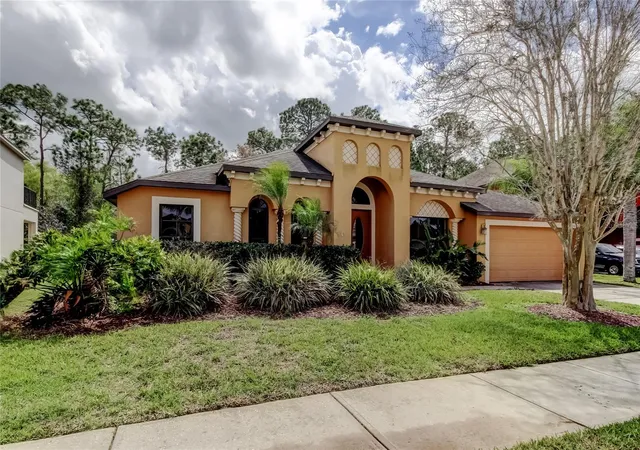 Homes for sale in Land O Lakes, FL | 10820 Rain Lilly Pass, Land O Lakes, FL 34638 | MLS# TB8483340