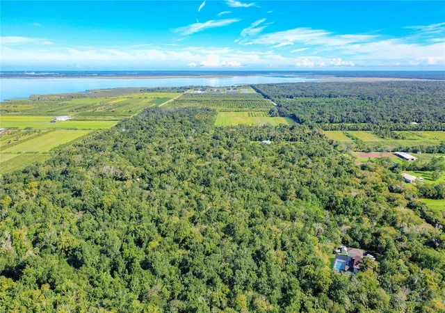 16th image of Elm St, Oviedo, FL 32765 | MLS# O6388289