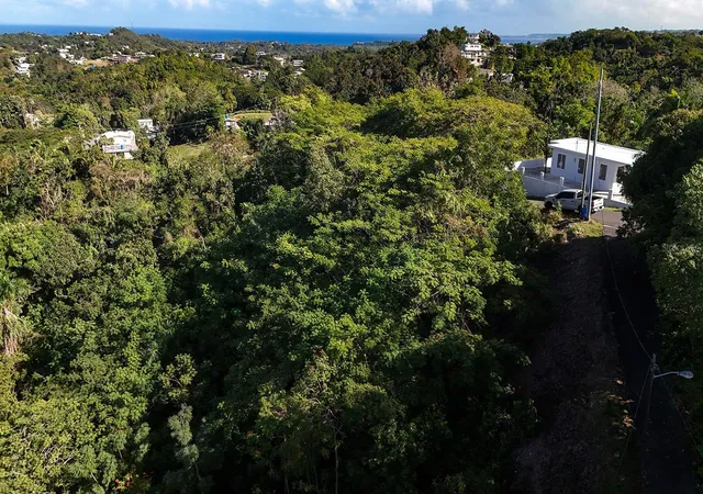 Homes for sale in Rincon, PR | Bo Cruces Carr 414 Km Hm 05, Rincon, PR 00677 | MLS# PR9119722