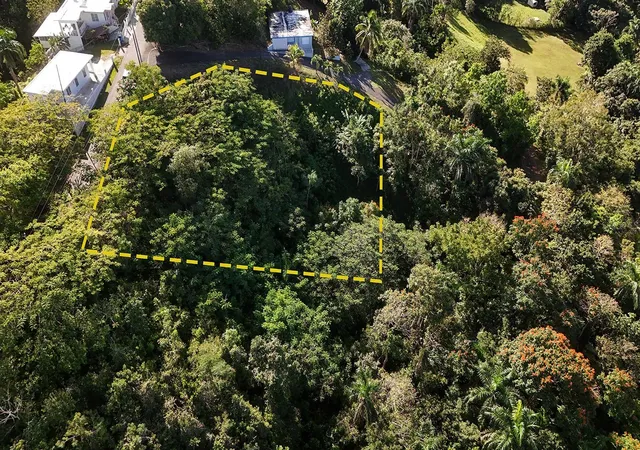 Homes for sale in Rincon, PR | Bo Cruces Carr 414 Km Hm 05, Rincon, PR 00677 | MLS# PR9119722