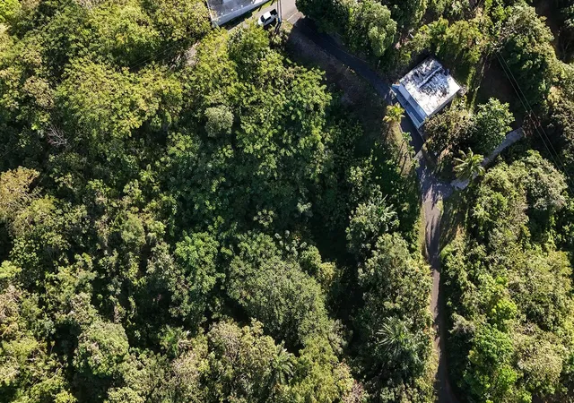 Homes for sale in Rincon, PR | Bo Cruces Carr 414 Km Hm 05, Rincon, PR 00677 | MLS# PR9119722