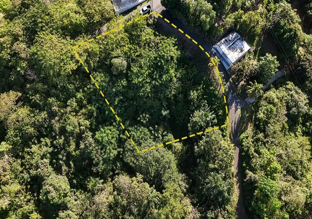 Homes for sale in Rincon, PR | Bo Cruces Carr 414 Km Hm 05, Rincon, PR 00677 | MLS# PR9119722