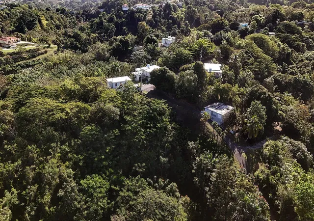 Homes for sale in Rincon, PR | Bo Cruces Carr 414 Km Hm 05, Rincon, PR 00677 | MLS# PR9119722